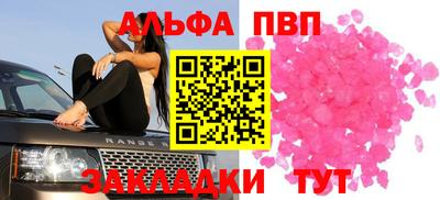 гашик Кузнецк