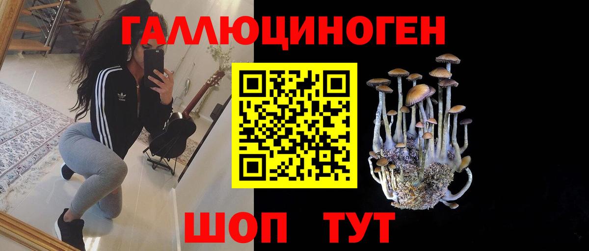 Псилоцибиновые грибы Psilocybine cubensis Советский